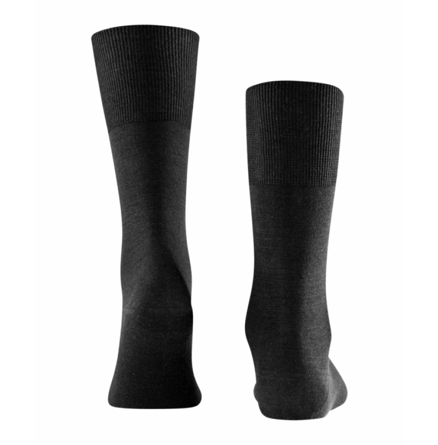 SOCKS FALKE AIRPORT